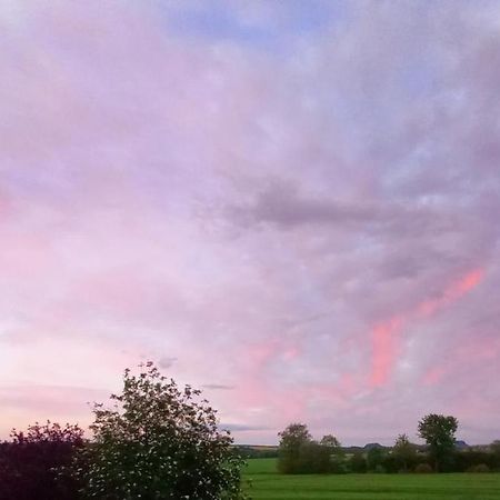 Privatzimmer Mit Aussicht Pirna Eksteriør bilde